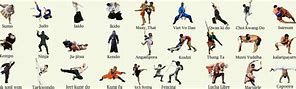 Image result for Best Martial Art Styles