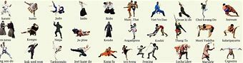 Image result for All Martial Arts Fighting Styles