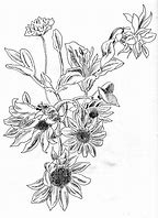 Image result for Line Drawings OS Flowers