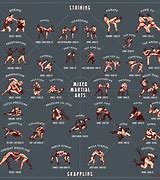 Image result for International Fighting Styles