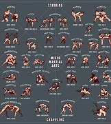 Image result for Types of Wrestling Styles
