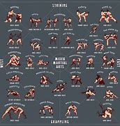 Image result for Fighting Styl