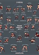 Image result for Best Fighting Styles Ranked