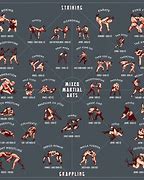 Image result for Void Styles Fighting Styles