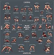 Image result for Best Fighting Style for Short People