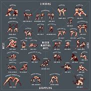 Image result for Best Fighting Style