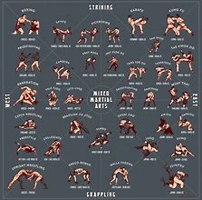 Image result for Best Fighting Styles to Learn