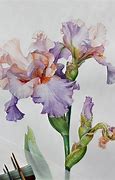 Image result for Leptiri Watercolor