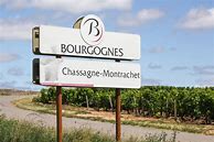 Image result for Amiot Guy Chassagne Montrachet Chaumees
