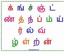 Image result for Tamil Alphabet Letters