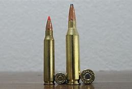 Image result for 223 vs 243 Ammo