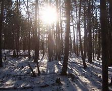 Image result for Good Morning Happy First Day of Winter