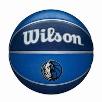 Image result for Wilson Miami Heat Basketball