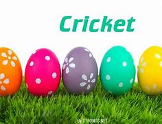 Image result for Cricket Fonts