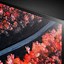 Image result for LG 4K OLED TV