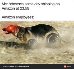 Image result for Amazon Dog Meme
