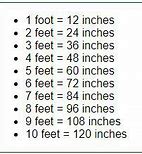 Image result for How Tall Is 12 Inches in Feet