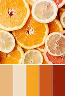 Image result for Green Orange Fruit Color Change