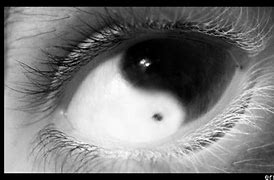 Image result for Ying Yang Contact Lens