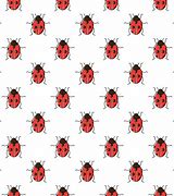 Image result for Ladybug Pattern