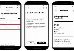 Image result for How to Transfer Verizon Number to New Phone