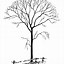 Image result for Tree Coloring Sheets for Kids