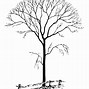 Image result for Apple Tree Coloring Pictures to Print