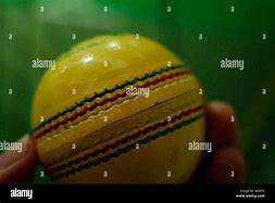 Image result for Cricket Helmet