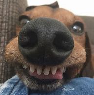 Image result for Happy Face Smile Meme