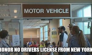 Image result for No Driver License Meme