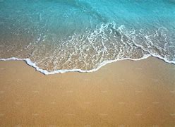 Image result for Sea Sand Beach