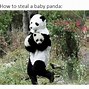 Image result for Cringe Panda