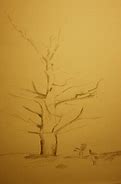Image result for Tree Pencil Drawing