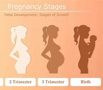 Image result for Infinite Pregnancy