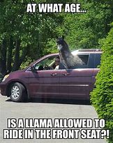 Image result for OH Hello There Llama Meme
