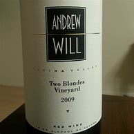 Image result for Andrew Will Two Blondes