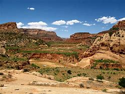 Image result for Arizona Landscape