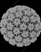 Image result for Lip Human Papillomavirus