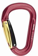 Image result for Carabiner Parts