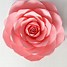 Image result for Paper Flower Templates Printable