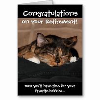 Image result for Retirement Cat Meme