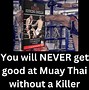 Image result for Muay Thai Kickboxing