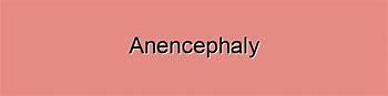 Image result for Anencephaly CT