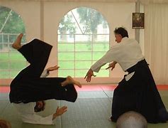 Image result for Aikido Forms