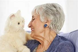 Image result for Hasbro Robot Cat for Seniors