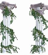 Image result for Vines On Old Pillars Drawing