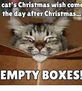 Image result for LOL Cat New Year's