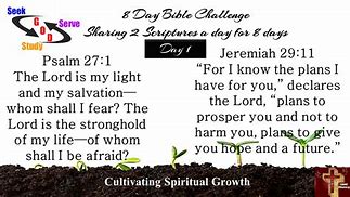 Image result for 100 Day Bible Challenge