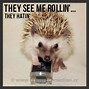 Image result for Hog the Hedgehog Meme