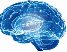 Image result for Blue Big Brain